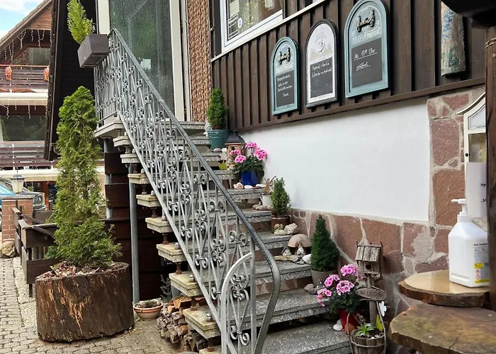 Apartament Gemuetliche-ferienwohnung-nr-1-im-harz-fuer-max-4-personen